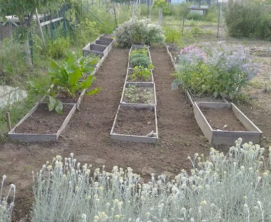 Rangées de plantations du potager, Le Grain de Folie